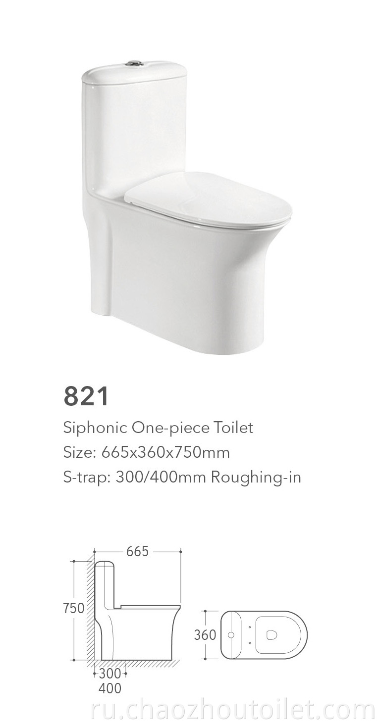 821 One Piece Toilet